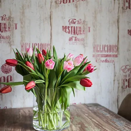 Heinrichs Lägenhet Willingen (Upland)